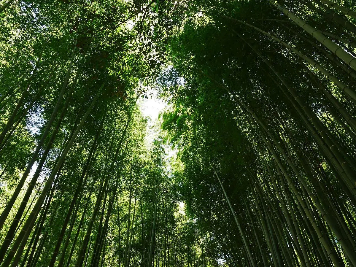 度假居 京都古都四条大宫2度假屋 日本